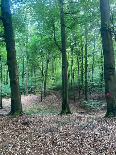 Eisenhammer Runde um die Schwedenberge