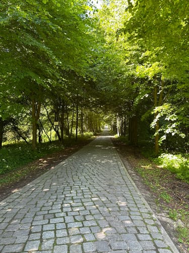 Lassahn - Stintenburg
