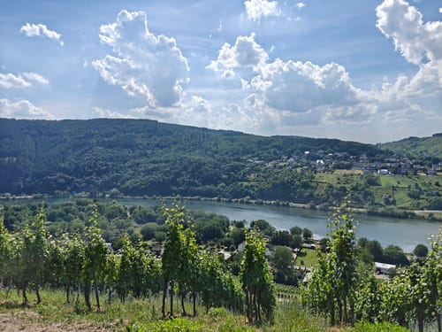 Mont Royal - Wolf/Kröv - Wolfer Kanzel