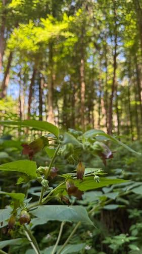 Silz - Naturparkrundweg 26