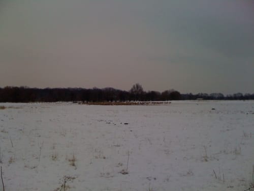 Lippenauenweg (L1) Lippstadt
