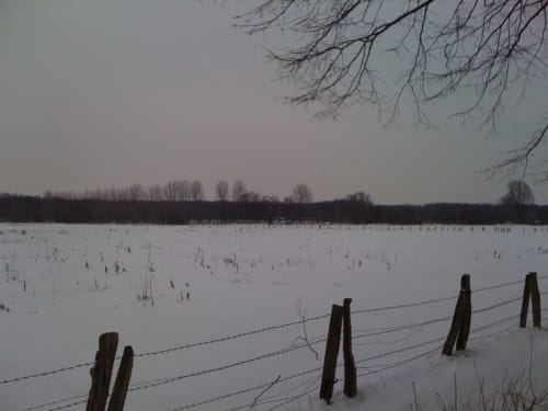 Lippenauenweg (L1) Lippstadt