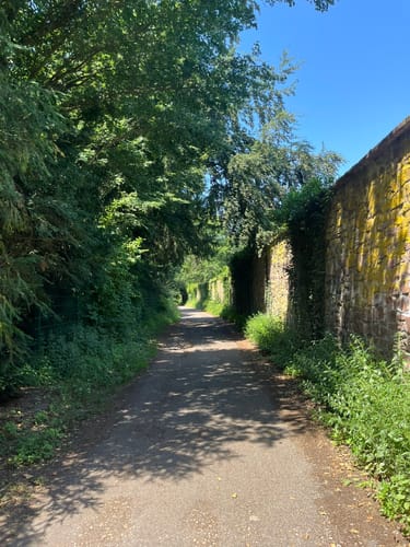 Karslruhe Schloss - Hardtwald Runde
