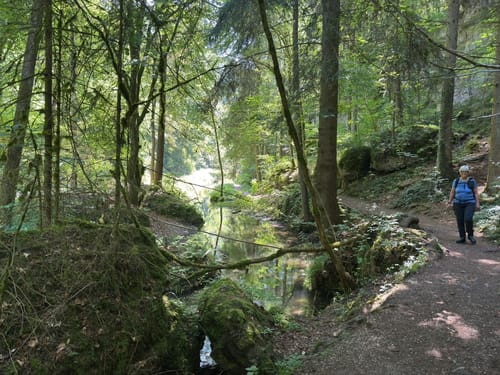 Von Pottenstein zur Teufelshöhle