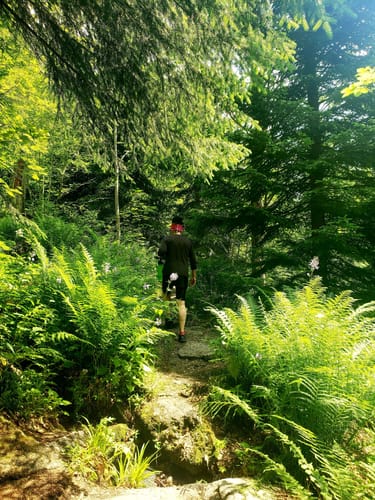 Lusen Rundweg ab Waldhäuser