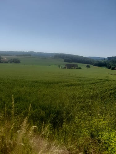 Varusturm - Bardenburg - Dörenberg