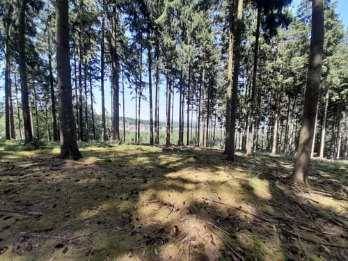Varusturm - Bardenburg - Dörenberg
