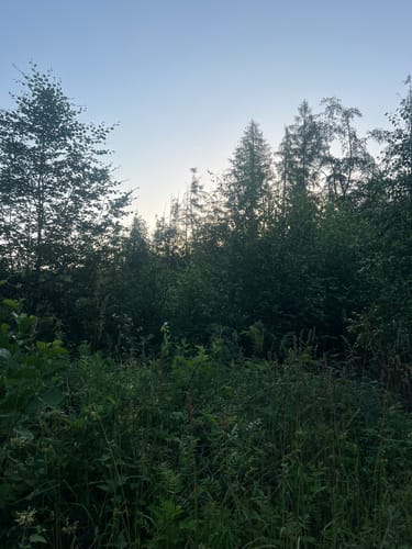 Rheinsteig Etappe 3: Bad Honnef - Linz