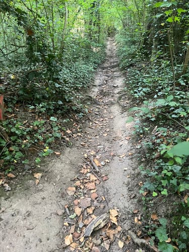 Rheinsteig Etappe 3: Bad Honnef - Linz