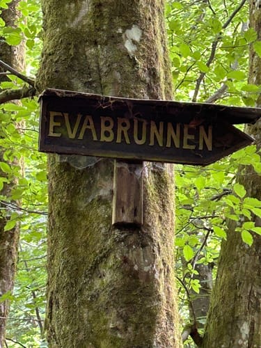 Ensheimer Brunnenweg (Premiumwanderweg)