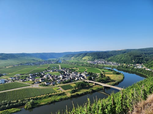 Mosel-Camino (Jakobsweg): Koblenz-Stolzenfels - Trier-St. Matthias