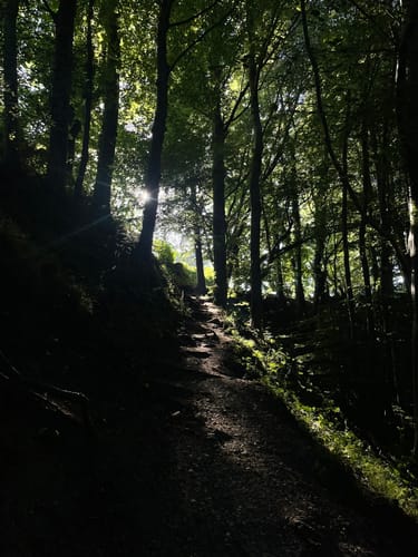 Auf die Farrenpoint