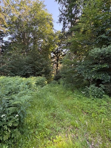 Forellensteig - Gendarm - Spitzbub