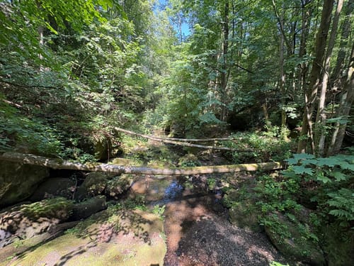 Forellensteig - Gendarm - Spitzbub