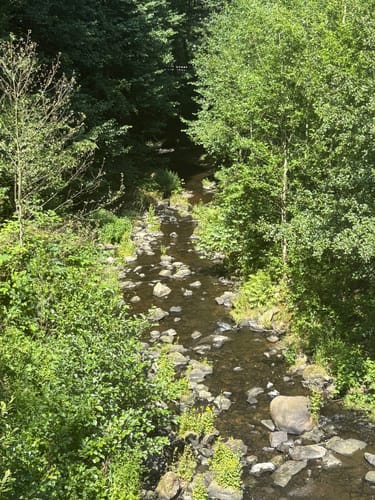 Forellensteig - Gendarm - Spitzbub