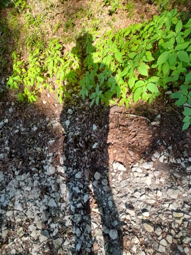 Von der Noller Schlucht zum Luisenturm