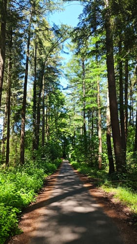Wandelroute Sint-Ludwig