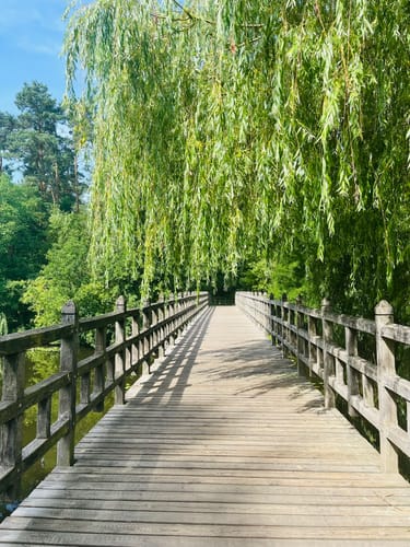 Müggelsee Rundweg