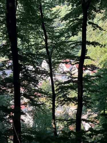 Vom Schloss Lichtenstein zur Brunnensteinhöhle
