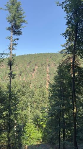 Auf der Spur des Drachen: Rundwanderweg Drachenfels