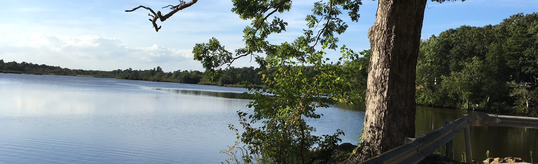 Pond Metedeconk River Kayak Trail, New Jersey 17 Reviews, Map