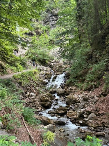 Am Faltenbach
