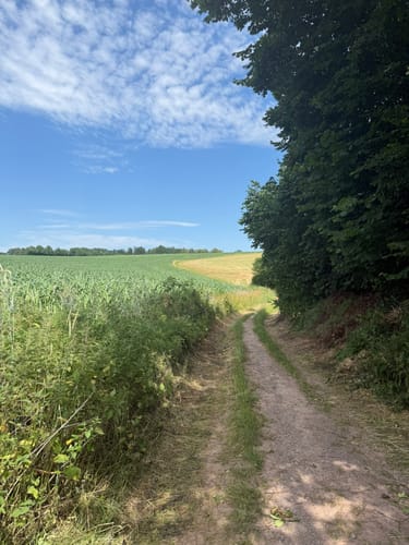 Filde - Hölken - Heilenbecker Talsperre
