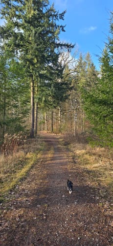 Rundwanderweg 5: Gaffenberg - Schweinsberg - Köpfertal