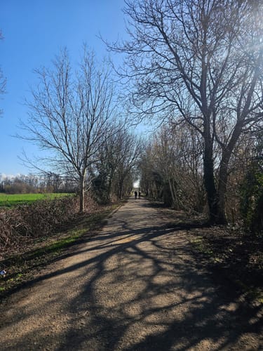 Parkwald Maudacher Bruch