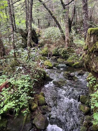Ichinose River - hikes and trails to get you there | AllTrails