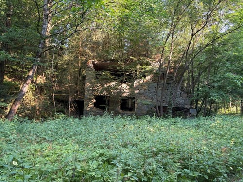 Fürstenecker Triftsteig