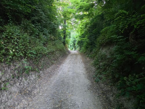 Kaiserstuhllauf