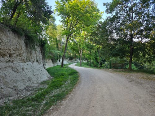 Kaiserstuhllauf