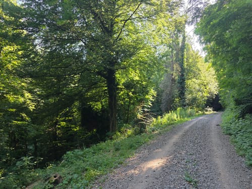 Kaiserstuhllauf