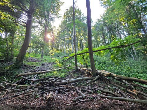 Kaiserstuhllauf