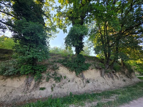 Kaiserstuhllauf