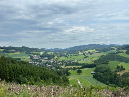 Runde bei Frielinghausen