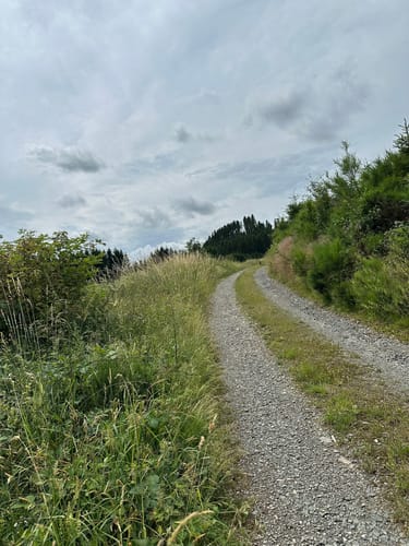 Runde bei Frielinghausen