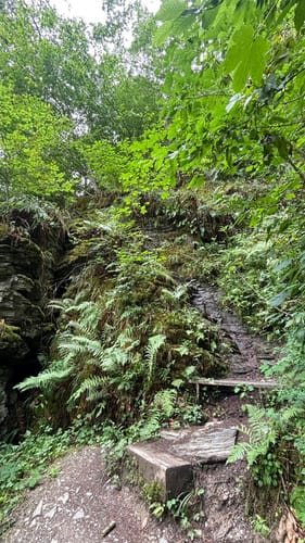 Baybachklamm (Traumschleife)