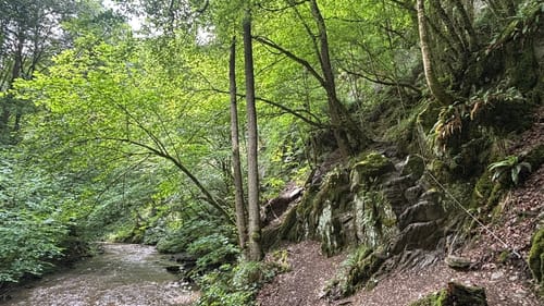 Baybachklamm (Traumschleife)