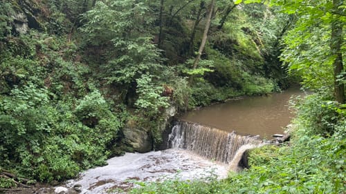 Baybachklamm (Traumschleife)