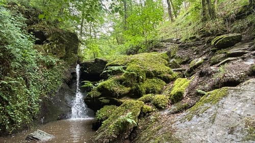 Baybachklamm (Traumschleife)