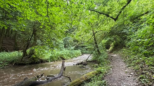 Baybachklamm (Traumschleife)