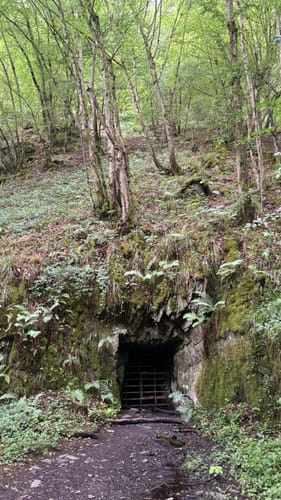 Baybachklamm (Traumschleife)