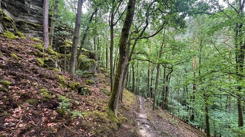 Baybachklamm (Traumschleife)