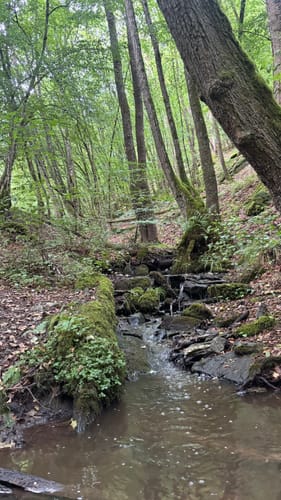 Baybachklamm (Traumschleife)
