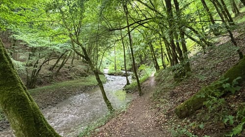 Baybachklamm (Traumschleife)
