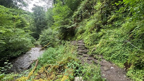 Baybachklamm (Traumschleife)