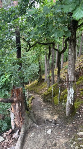 Baybachklamm (Traumschleife)