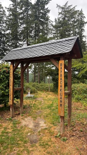 Baybachklamm (Traumschleife)